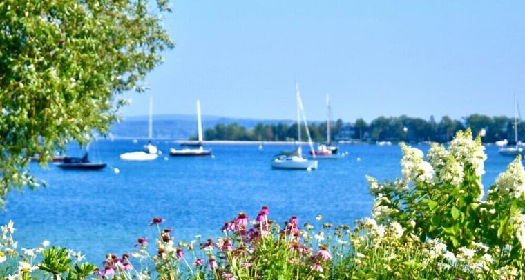 Harbor Springs, Michigan bay with sailboats behind flowers during sunny day