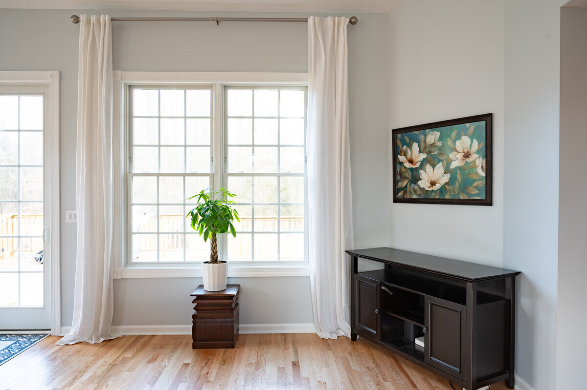 Plant by window in Osceola, Indiana sunroom addition by Peacock & Company