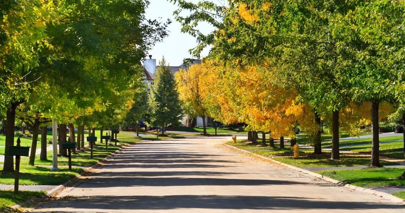 Tree lined residential street and neighborhood