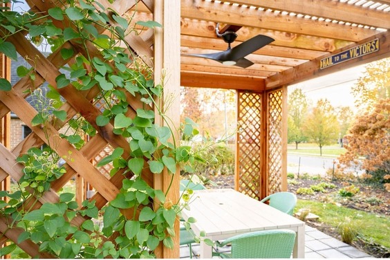 Custom Cedar Wood Pergola in Mishawaka