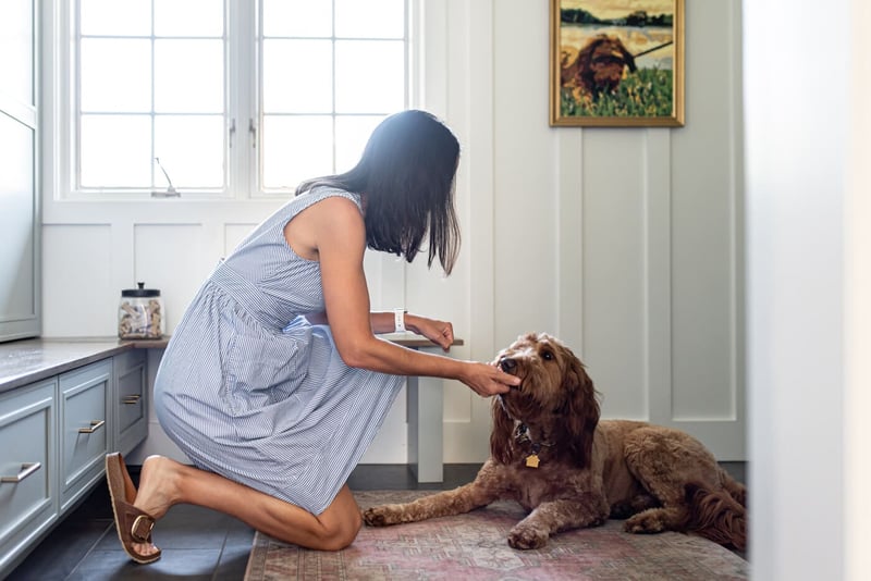 Woman giving dog treat in renovated mudroom in South Bend home